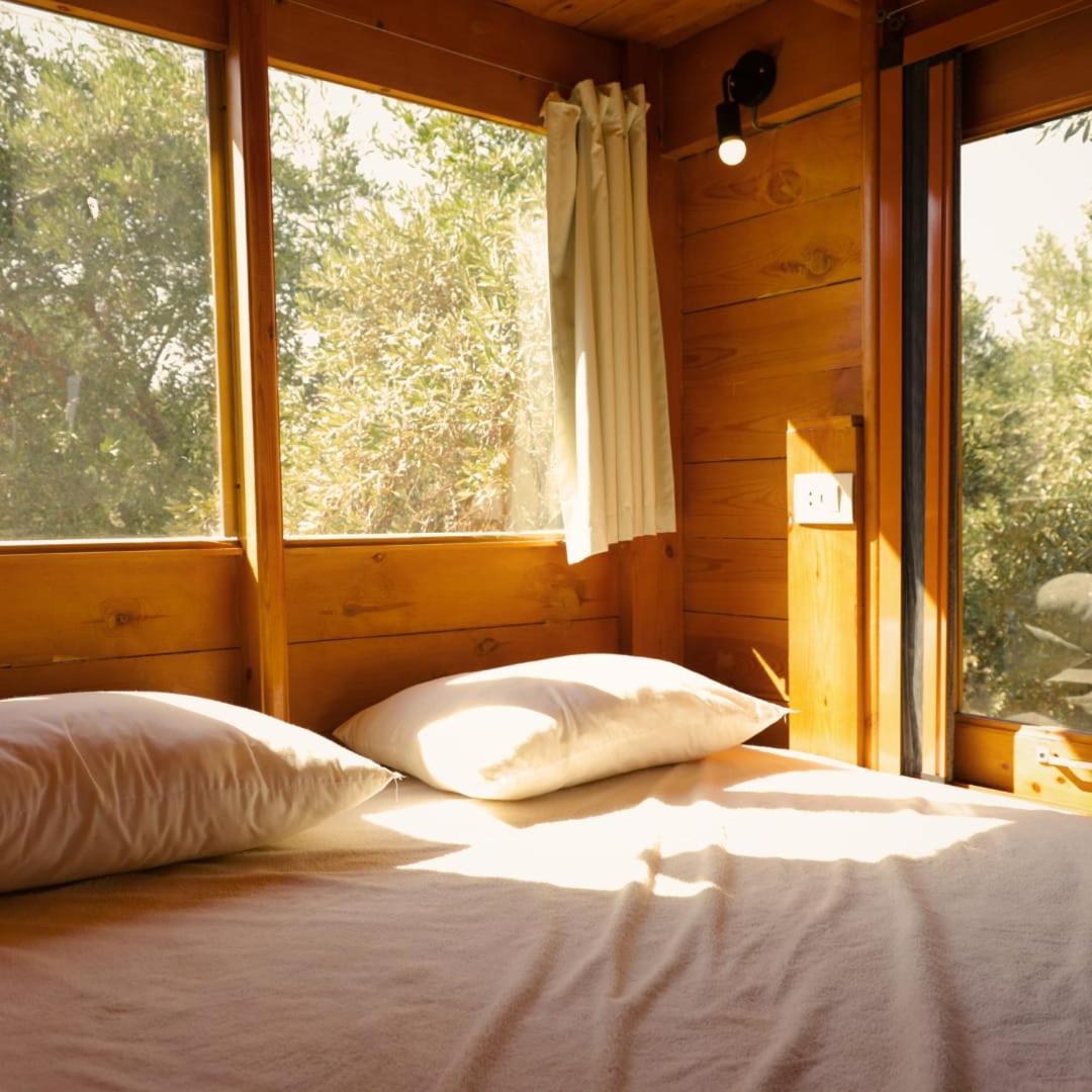 Northern Lake Lodge Izbat Ilyas Εξωτερικό φωτογραφία