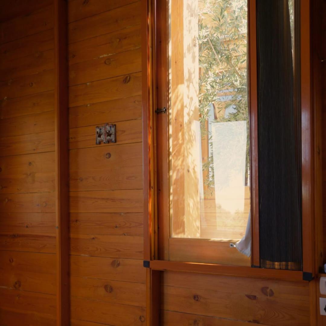 Northern Lake Lodge Izbat Ilyas Εξωτερικό φωτογραφία
