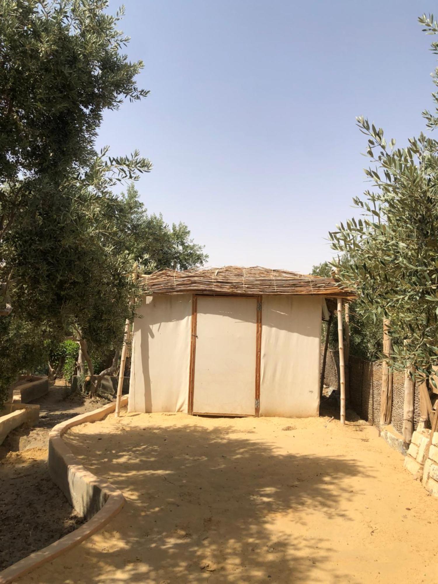 Northern Lake Lodge Izbat Ilyas Εξωτερικό φωτογραφία